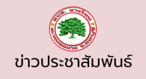 แบบสำรวจ ข้อมูลตลาดหมู่บ้าน/ชุมชน ในเขต อบต.ยางโทน